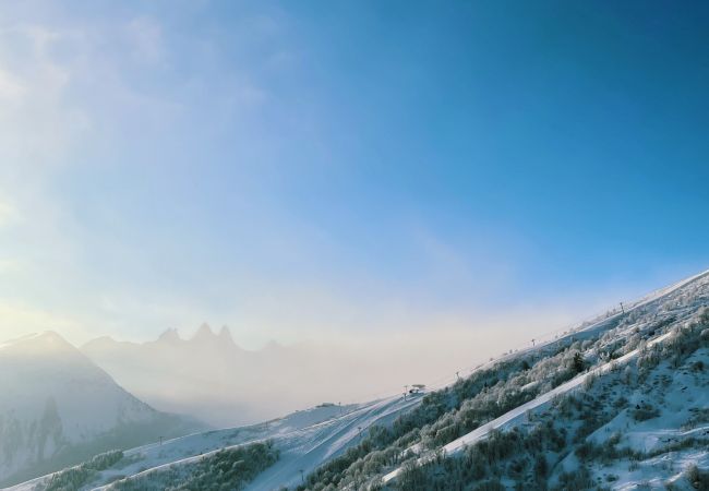Chalet à Fontcouverte-la-Toussuire - L'Albaron - chalet 19 - skis aux pieds
